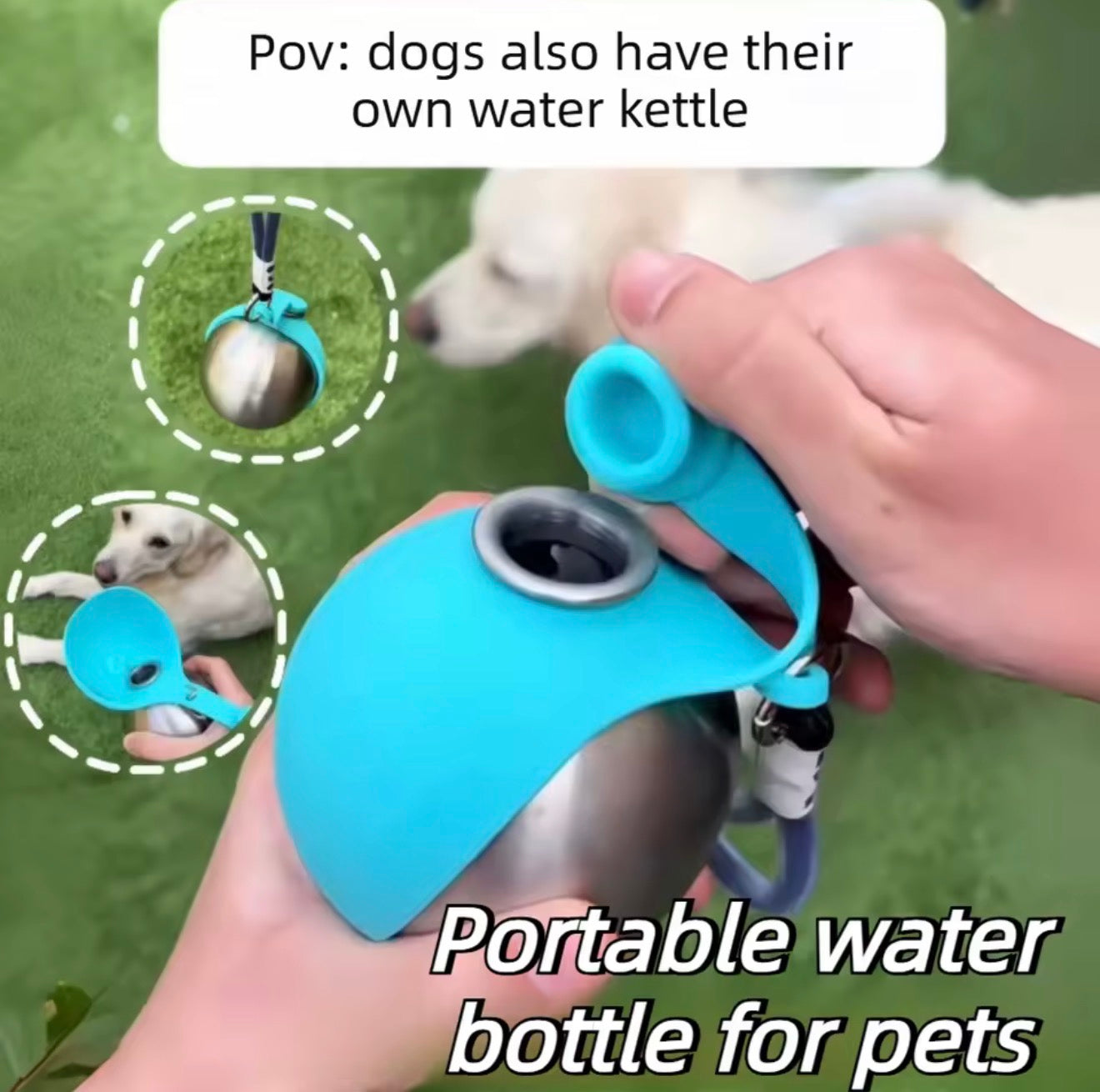 Stainless Steel Dog Water Bottle with Removable Silicone Bowl
