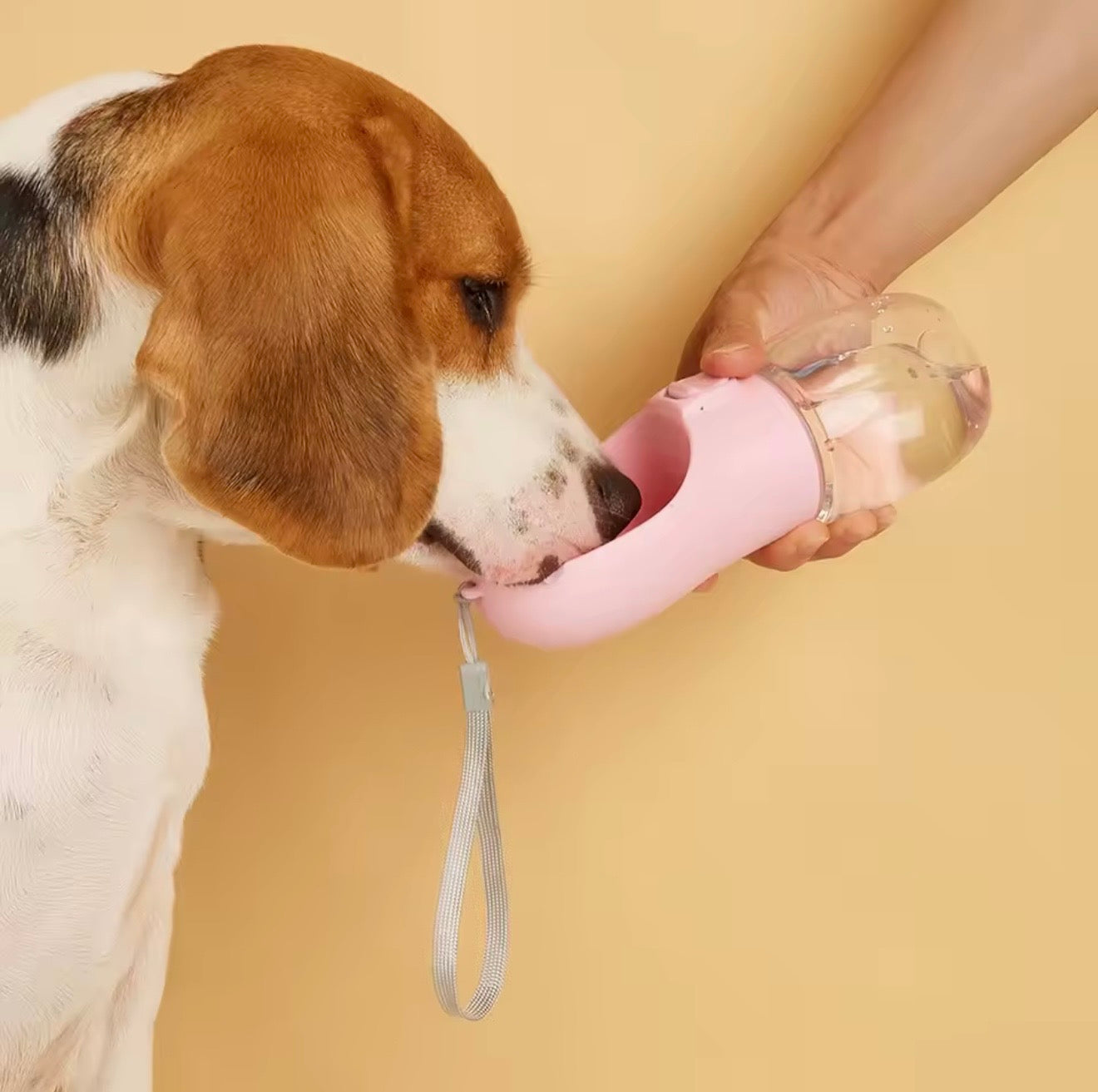 Portable Dog Water Bottle with Fold-Out Bowl