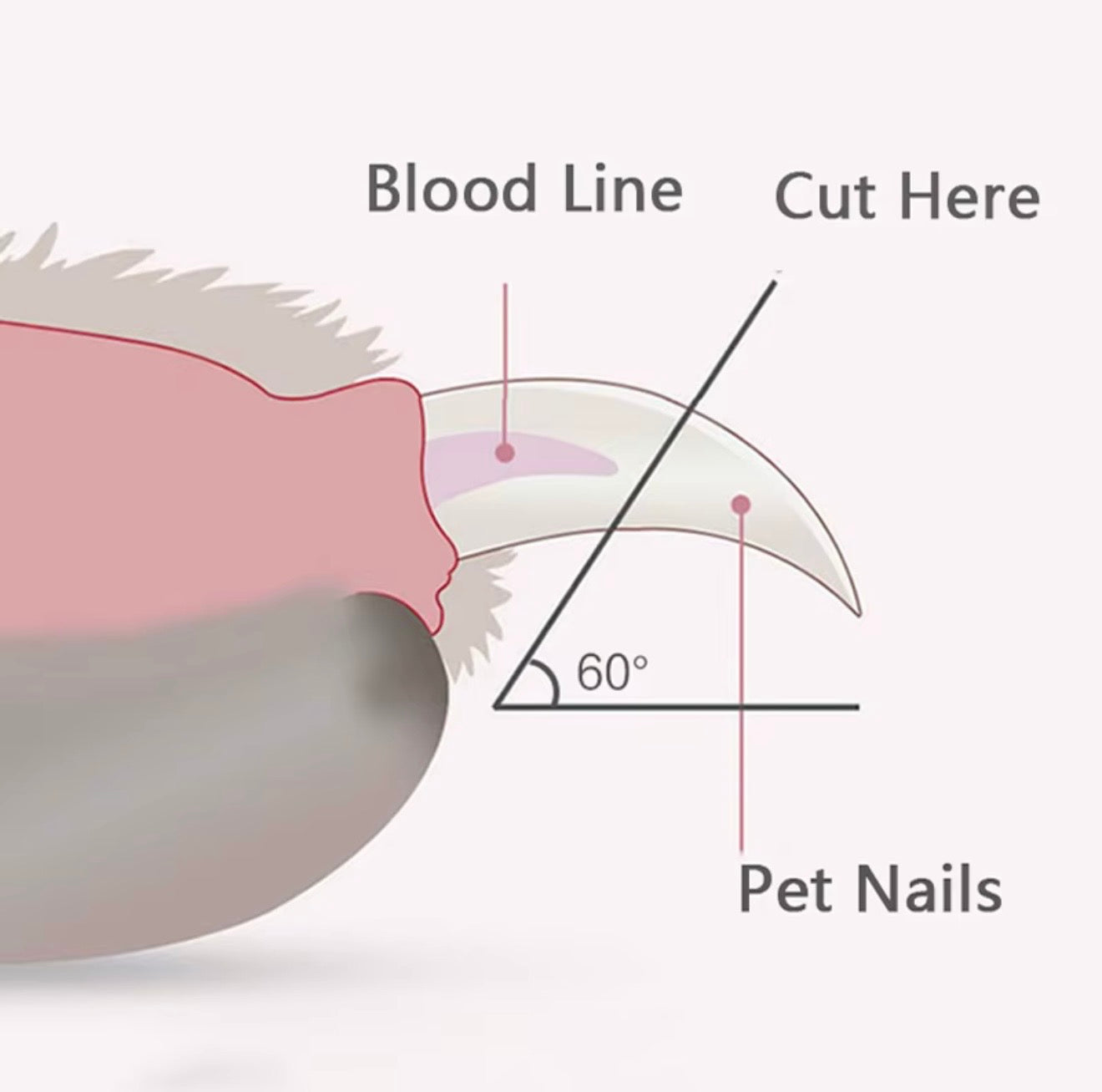Professional Pet Nail Clipper with LED Light